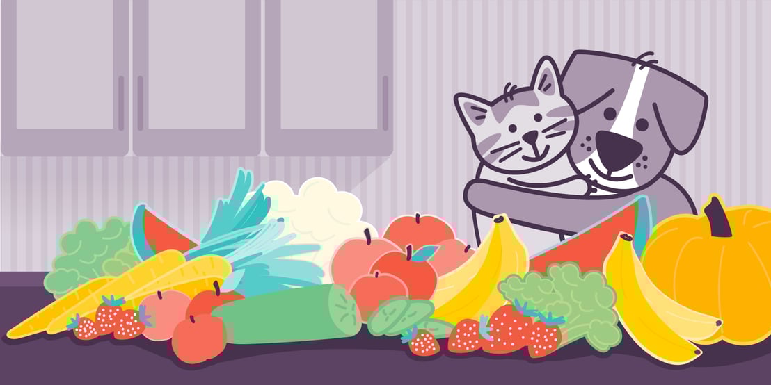 What To Do When Your Dog is in Pain